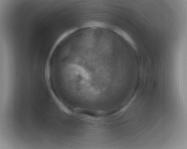 X0000114421040200910231202