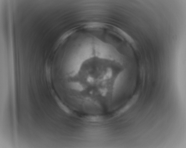 X0000114421041200910231202