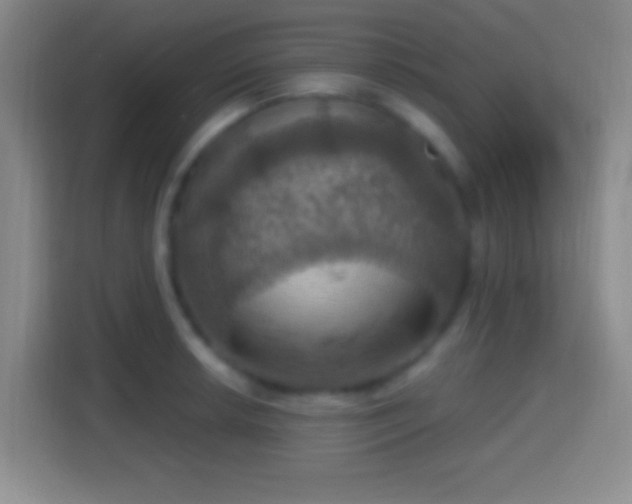 X0000114421042200910231202