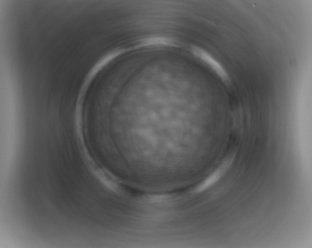 X0000114421043200910231202