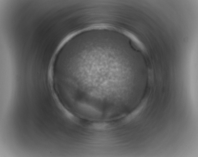 X0000114421046200910231202