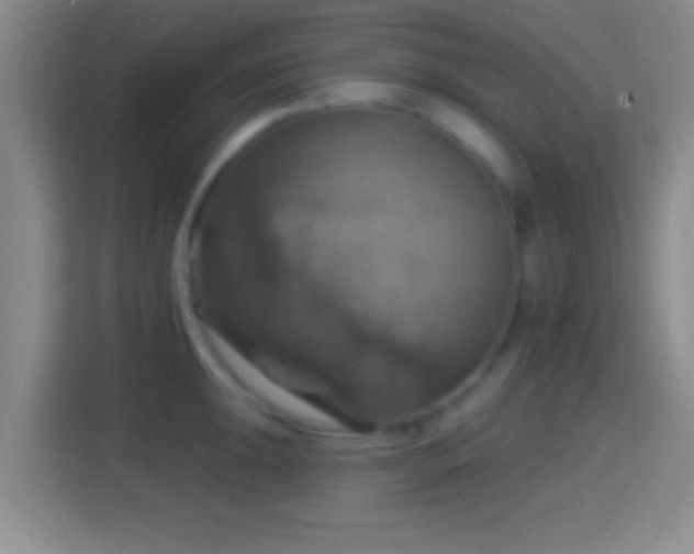 X0000114421047200910231202