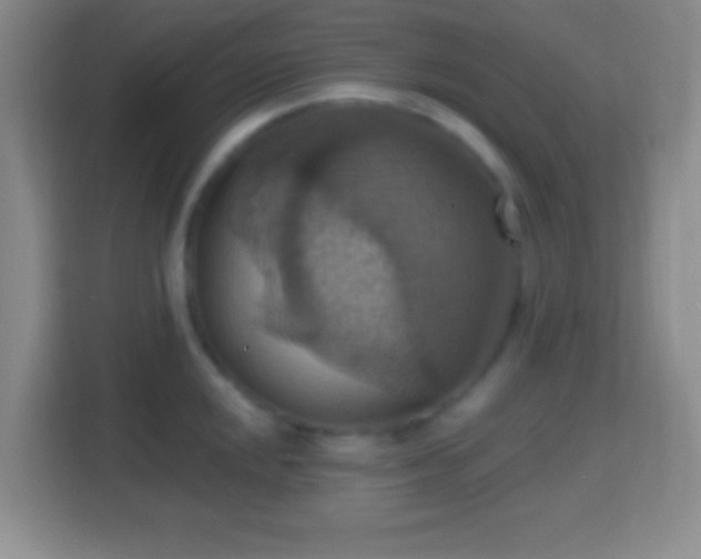 X0000114421048200910231202