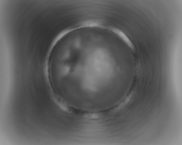 X0000114421051200910231202