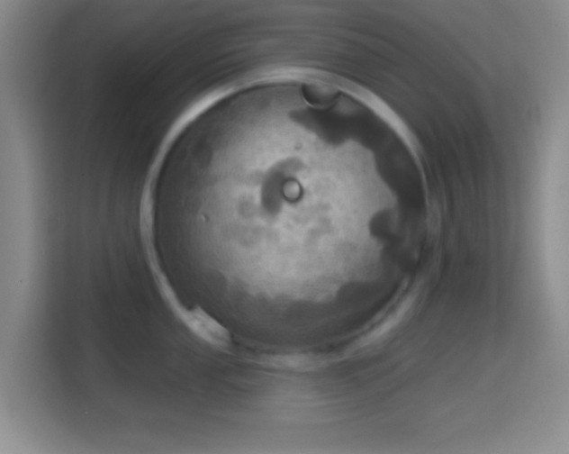 X0000114421053200910231202