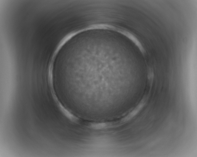 X0000114421054200910231202