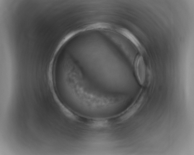 X0000114421055200910231202