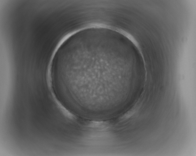 X0000114421056200910231202