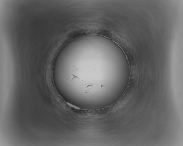 X0000114421057200910231202