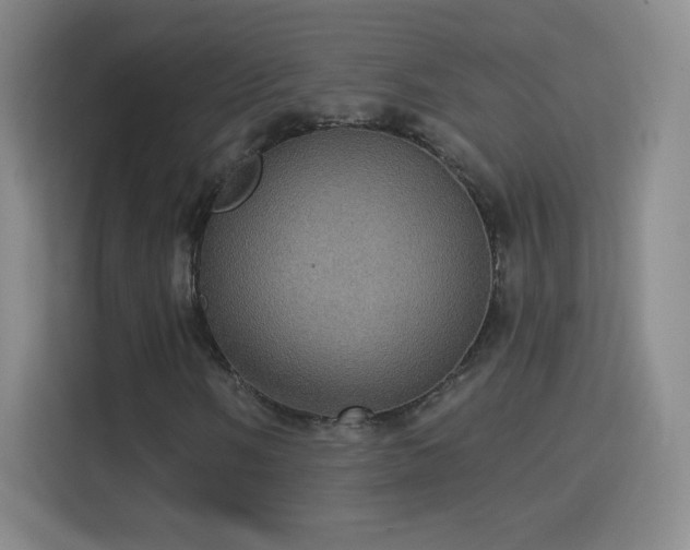 X0000114421058200910231202