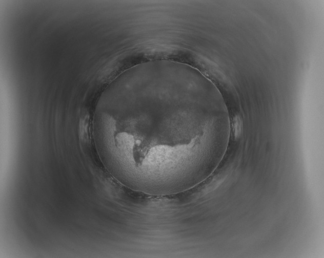 X0000114421059200910231202