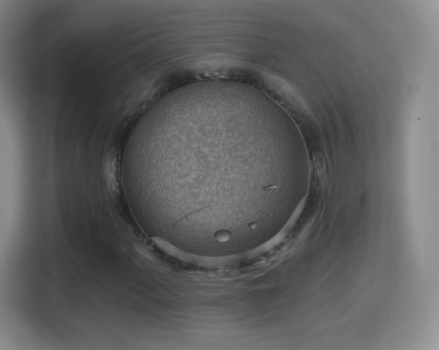 X0000114421060200910231202
