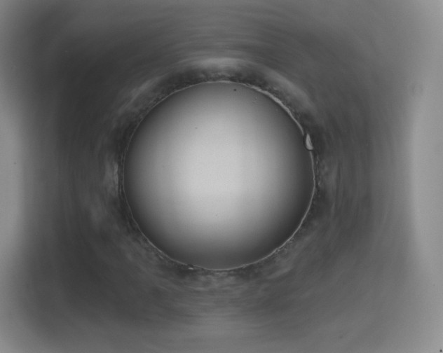 X0000114421061200910231202