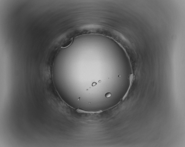 X0000114421062200910231202