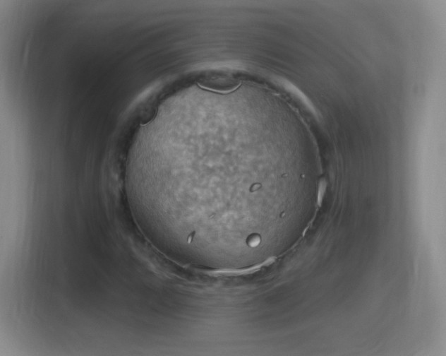 X0000114421064200910231202