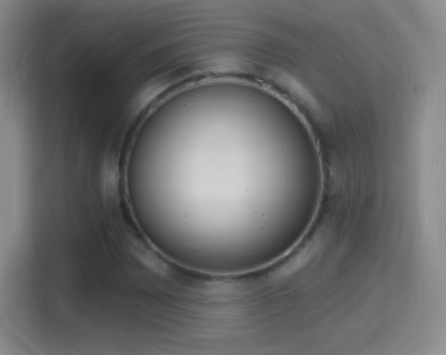 X0000114421065200910231202