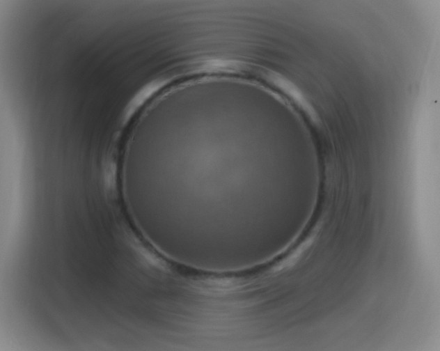 X0000114421066200910231202