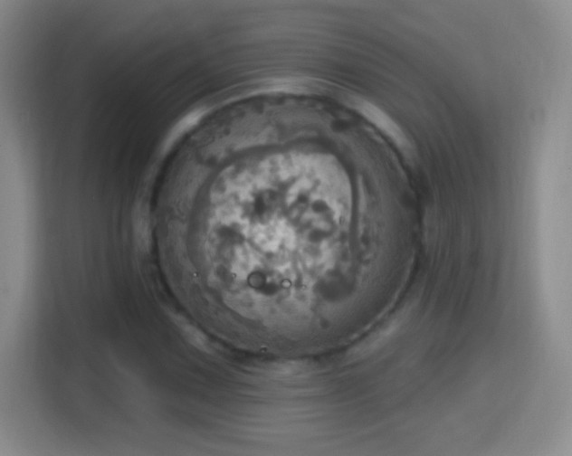 X0000114421067200910231202
