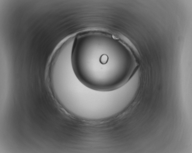 X0000114421068200910231202