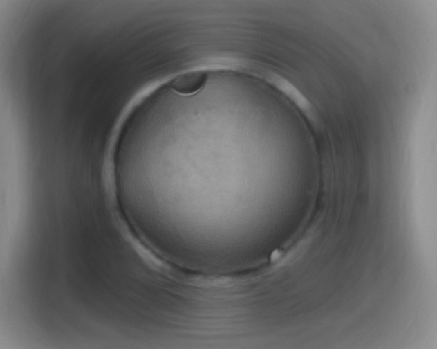 X0000114421072200910231202