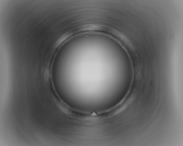 X0000114421073200910231201
