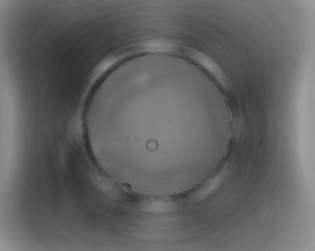 X0000114421074200910231201