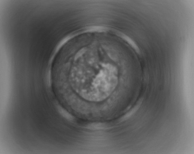 X0000114421075200910231201