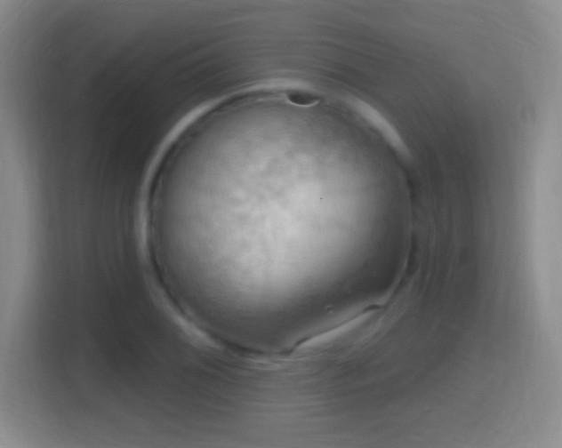 X0000114421076200910231201