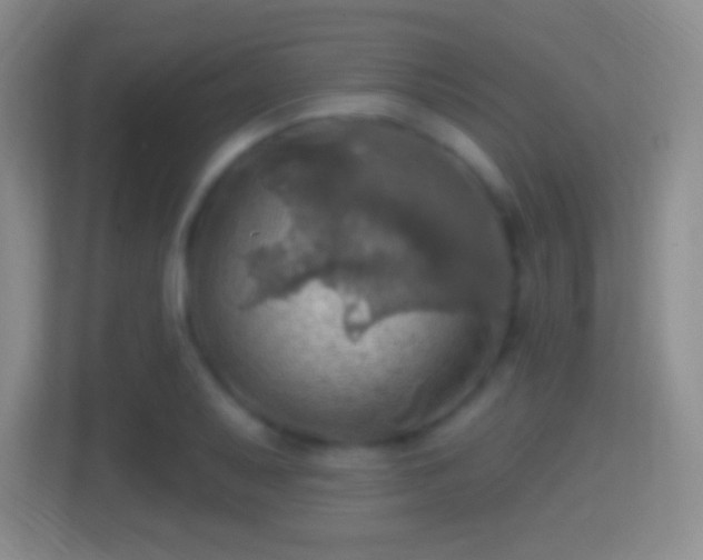 X0000114421079200910231201