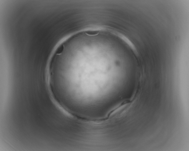 X0000114421080200910231201