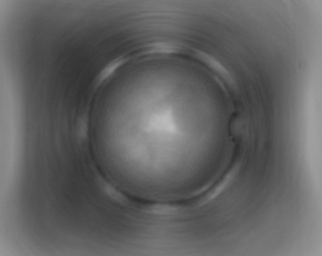 X0000114421081200910231201