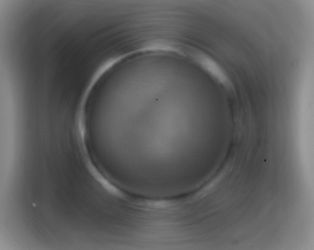 X0000114421084200910231201