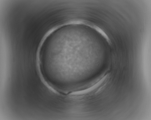 X0000114421088200910231201