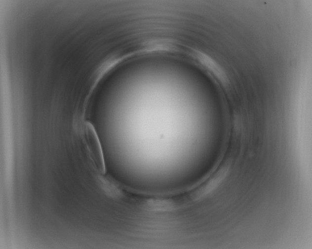X0000114421089200910231201