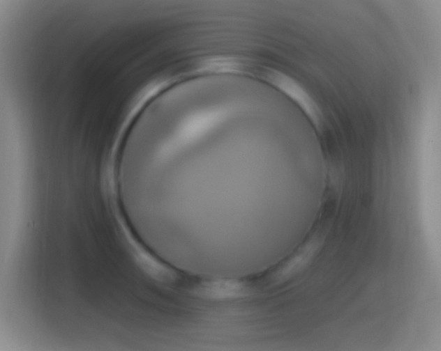 X0000114421090200910231201