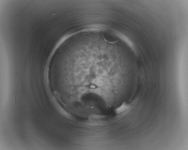 X0000114421091200910231201