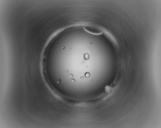 X0000114421093200910231201