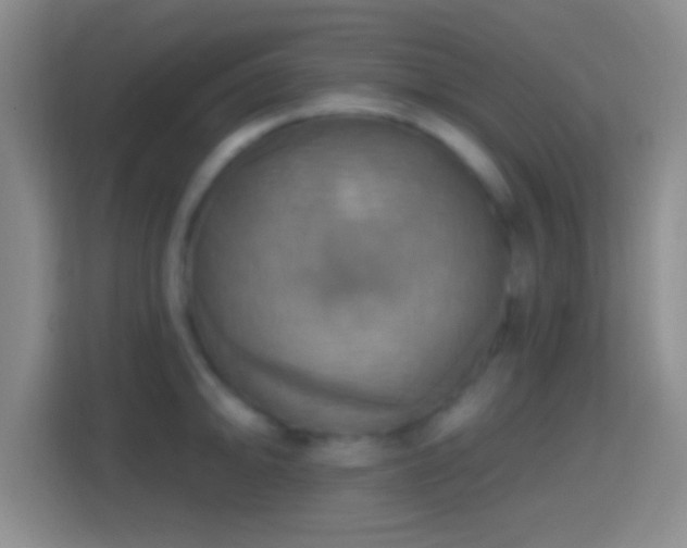 X0000114421094200910231201