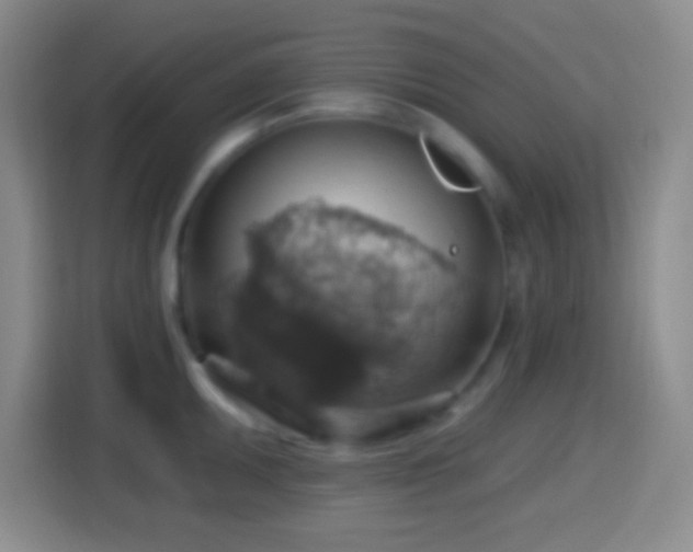 X0000114421095200910231201