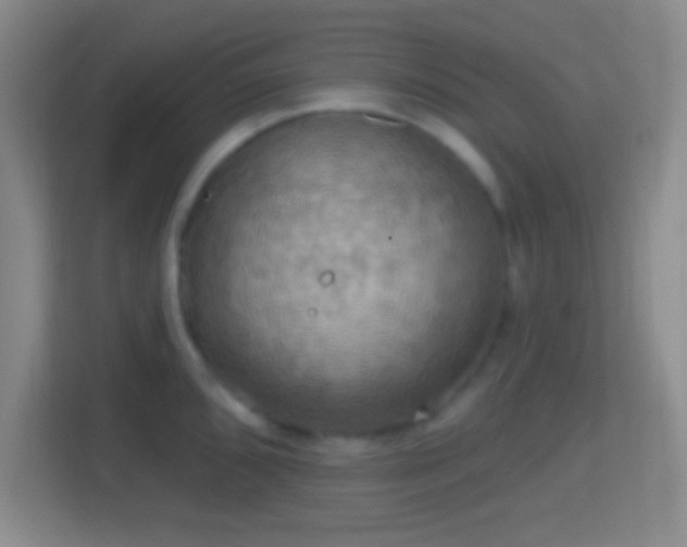 X0000114421096200910231201