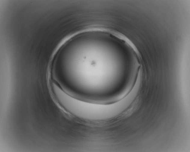 X0000114421101200910231201