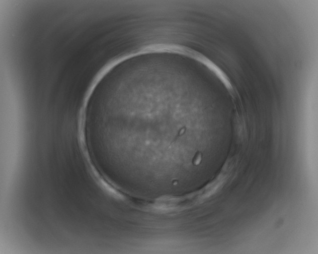 X0000114421102200910231201