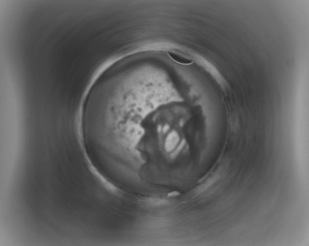 X0000114421103200910231201
