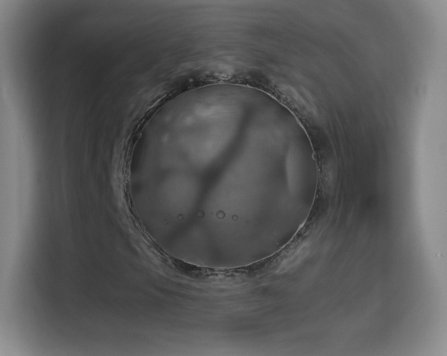 X0000114421105200910231200
