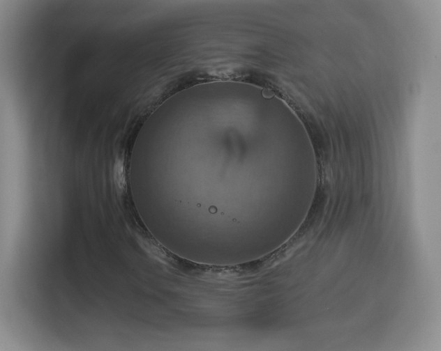 X0000114421106200910231200