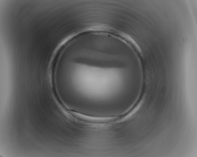 X0000114421114200910231201