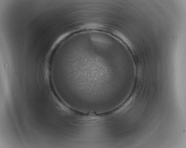 X0000114421115200910231201