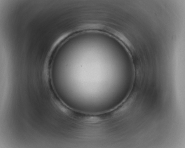 X0000114421119200910231201