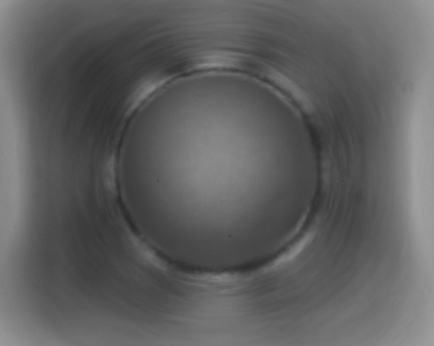 X0000114421121200910231201