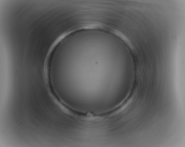 X0000114421122200910231201